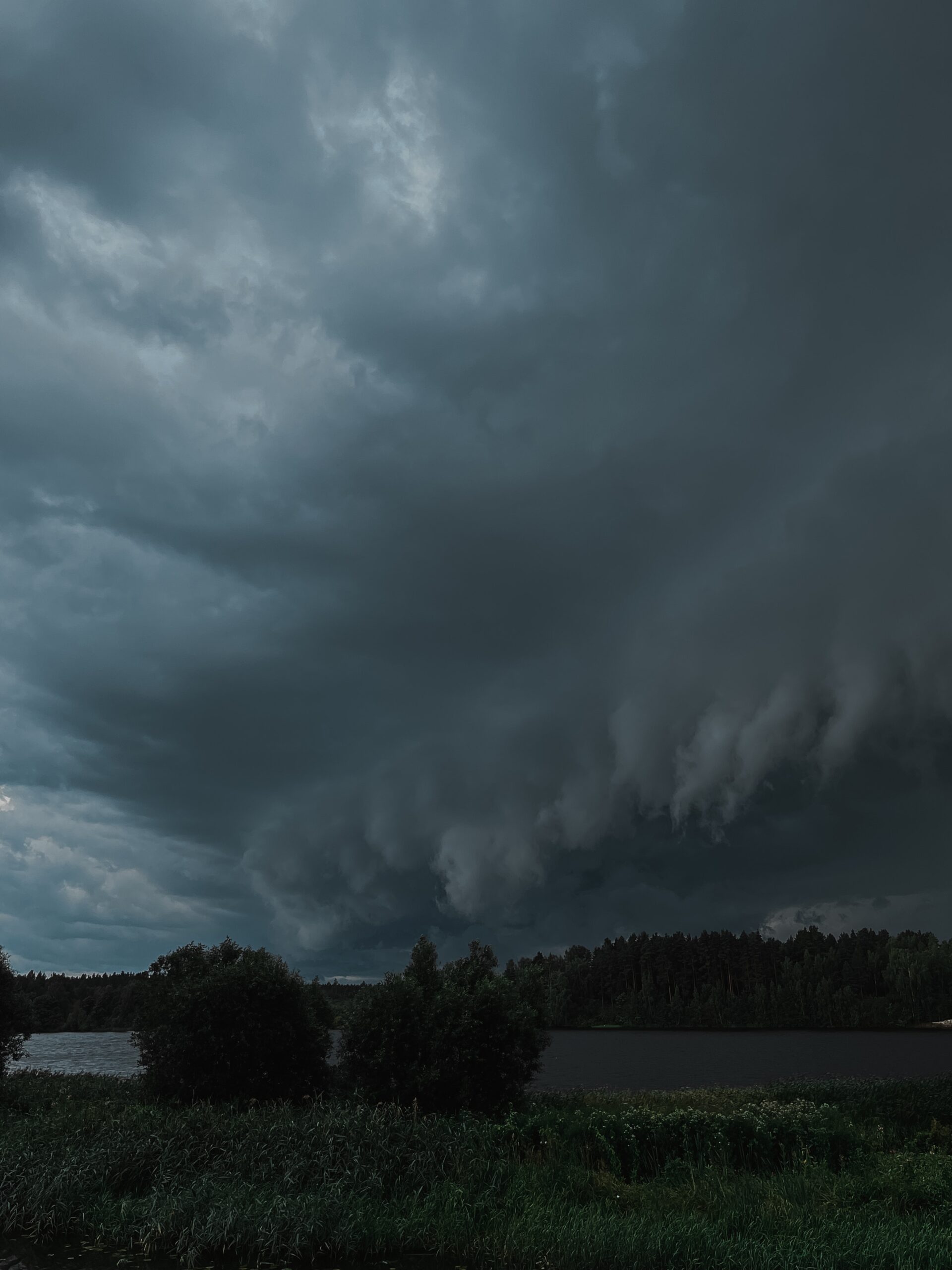 Typhoons in Japan: An Alarming Rise in Intensity and Frequency