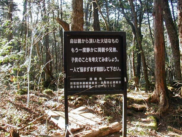 Can parks in Tokyo be a lifeline against suicide?